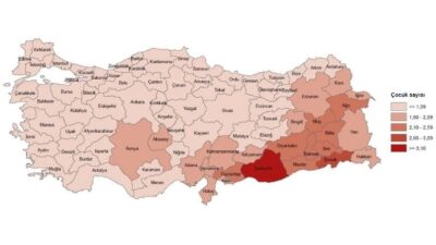 2024 Resmi Verisi: Türkiye İstatistik Kurumu (TÜİK) 2024 yılı toplam