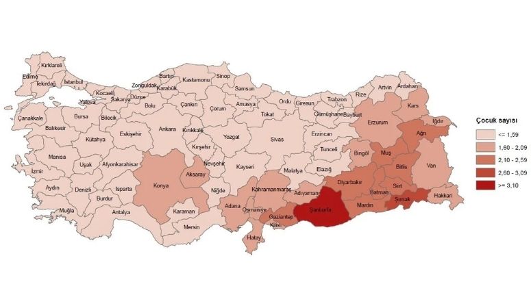 2024 Resmi Verisi: Türkiye İstatistik Kurumu (TÜİK) 2024 yılı toplam