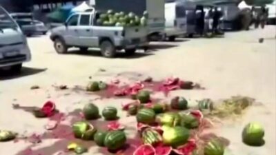 Geyve'de çiftçilerin yaşadığı fiyat krizisi protestoya dönüştü. Bir çiftçi, emeğinin