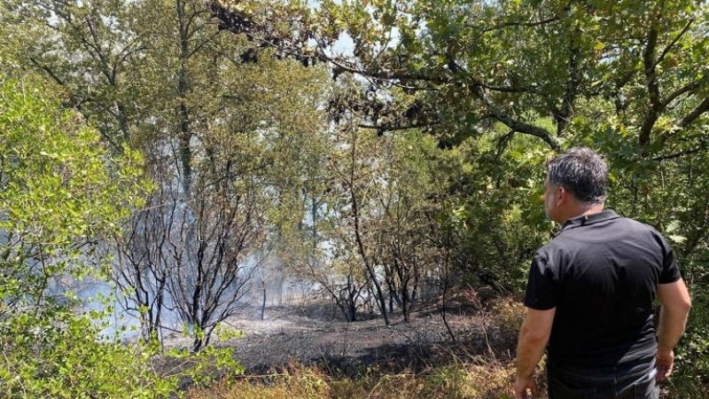 Adapazarı’nda Ormanlık Alanda Yangın Çıktı Adapazarı’nda çıkan orman yangını, ekiplerin havadan ve karadan hızlı müdahalesiyle